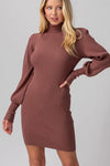 Taylor Turtleneck Sweater Dress